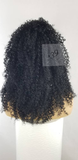 Vanessa kinky Curly Lace Front Wig